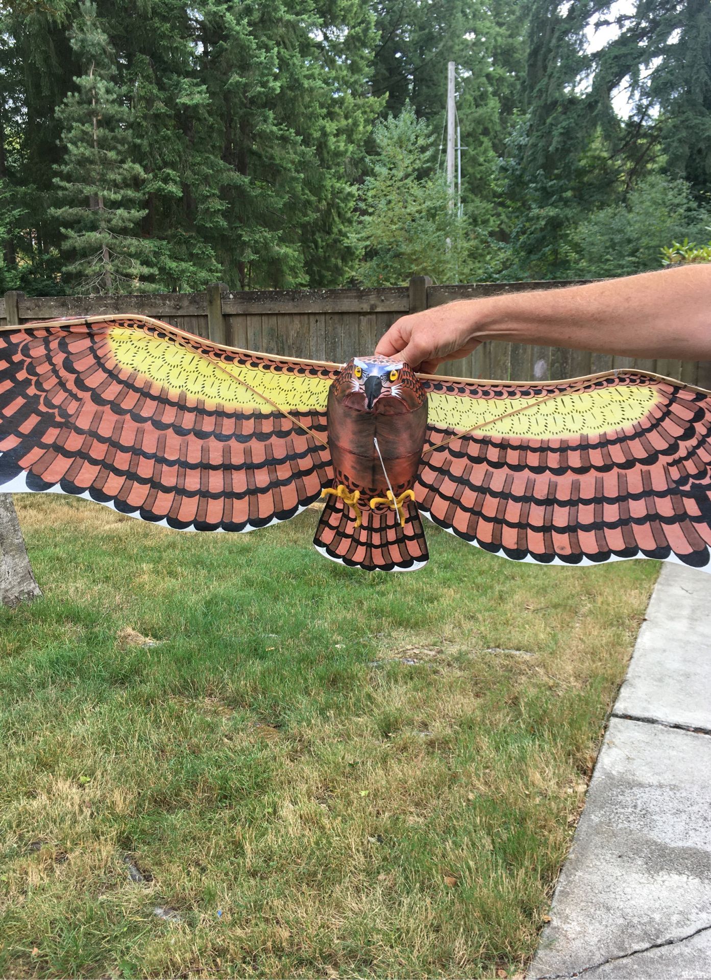 2003 Chinese Paper Falcon Kite