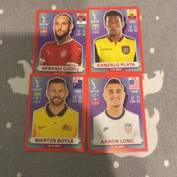 Panini