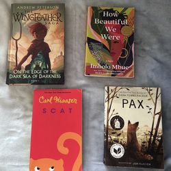 Teen/Preteen Books and Novels