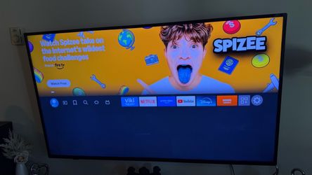 Large Flat Screen Smart TV
