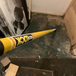 Paint Extension Poles 4