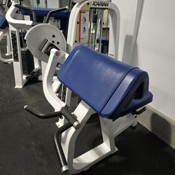 Icarian Camber Curl 204 Commercial Gym Equipment Exercise Fitness Weight Machine