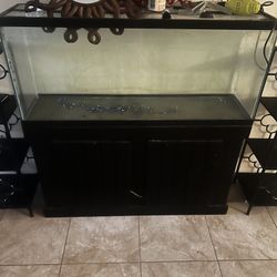 Fish Tank With Stand 