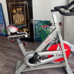 Used sunny on sale spin bike