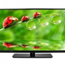 55" INCH SMART TELEVISION 