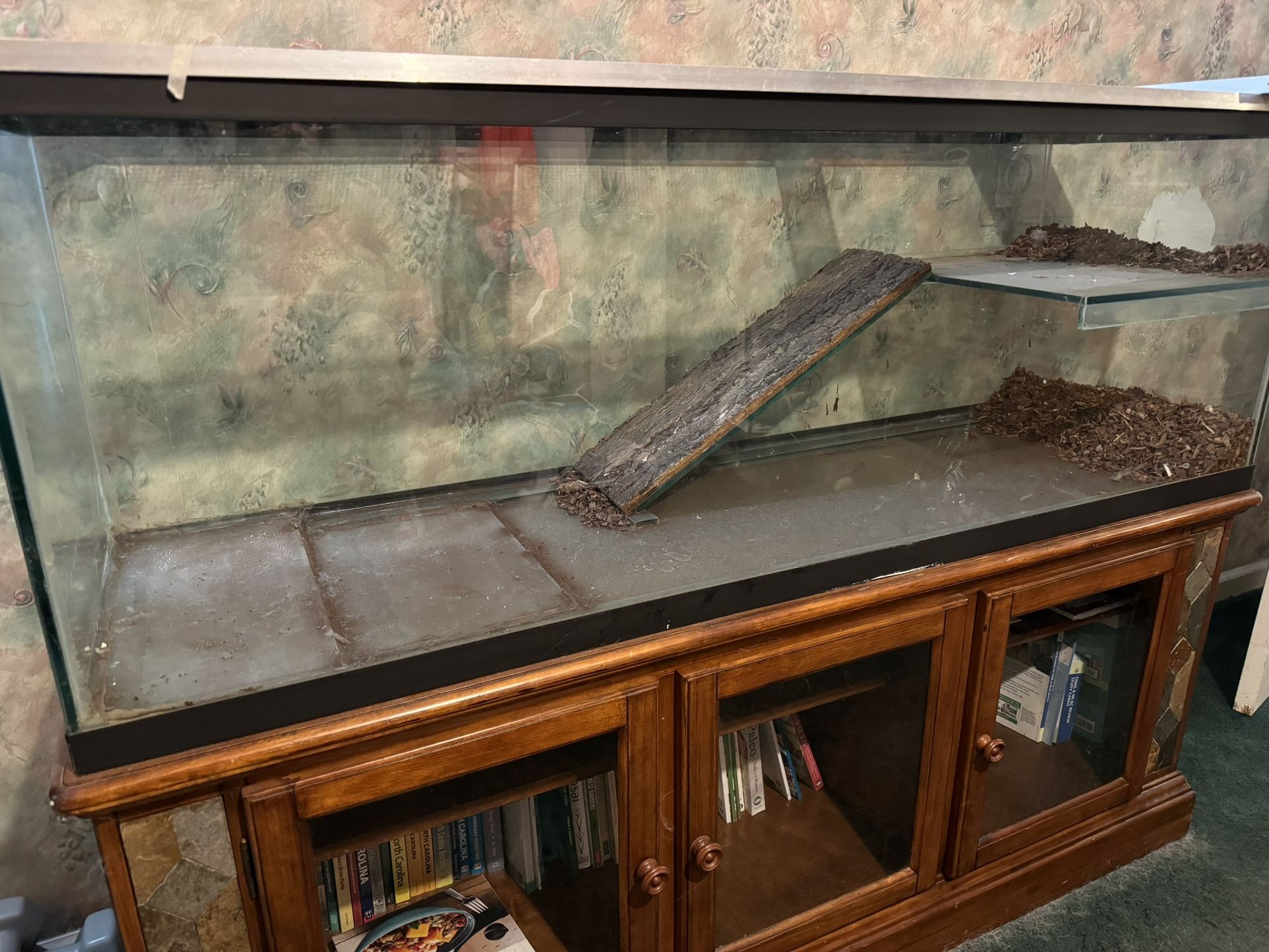 100 gallon aquarium tanks