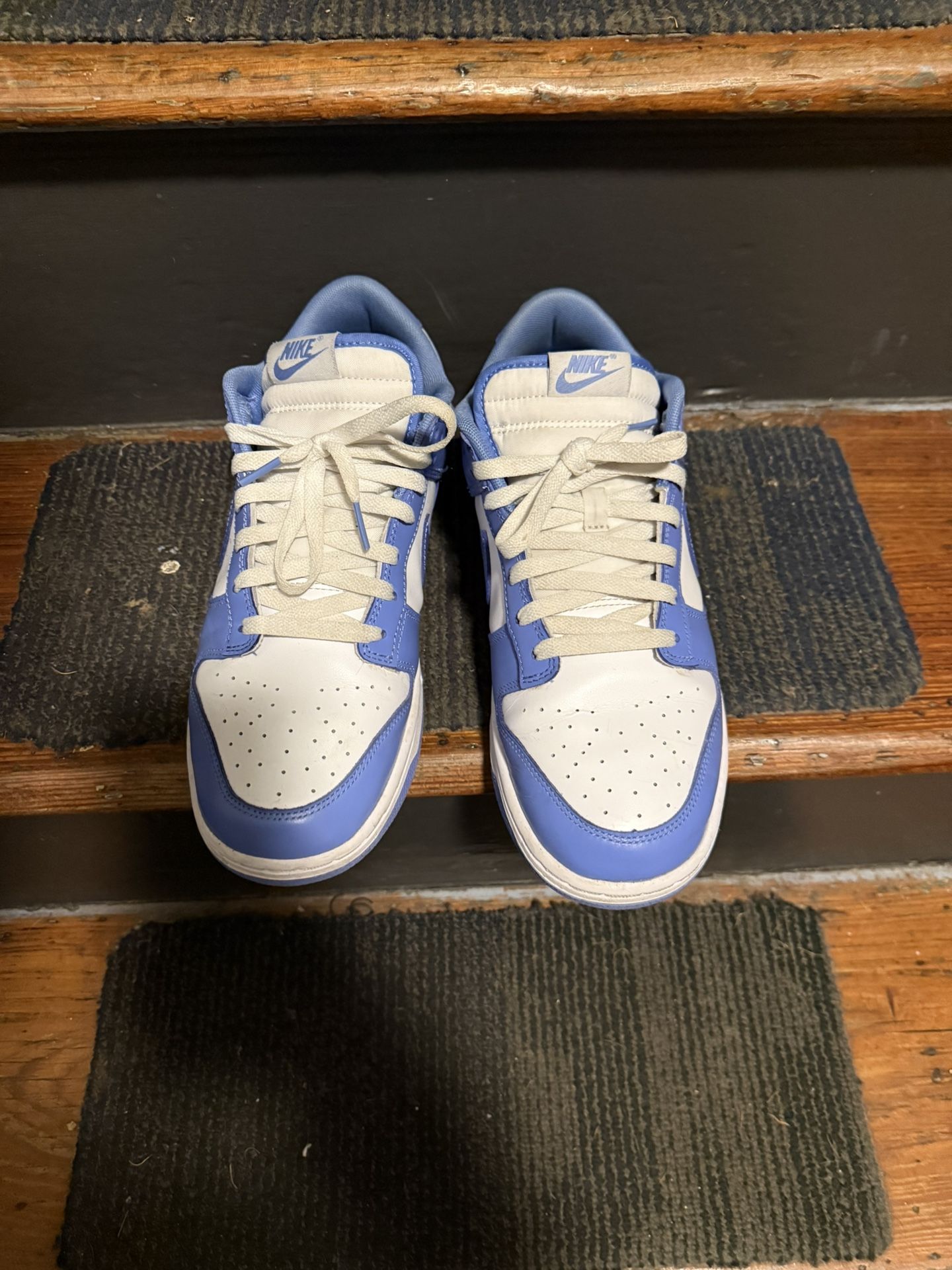 Nike Dunks Polar Blue