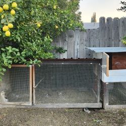 Chicken Coop