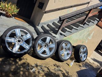 Texas edition 24in