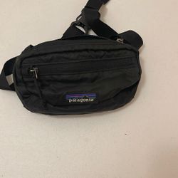 Patagonia Fanny Pack