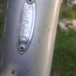 GUTTED Giant frame and forks