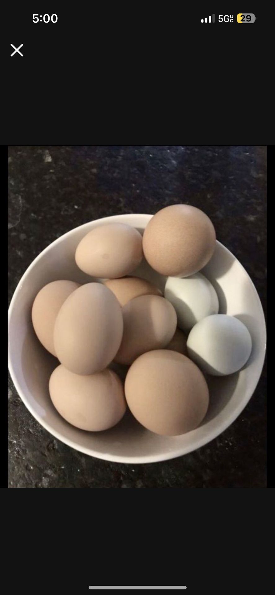 Free Range Organic Eggs