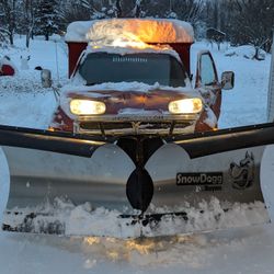 Buyers Snow Plow With Free Truck 