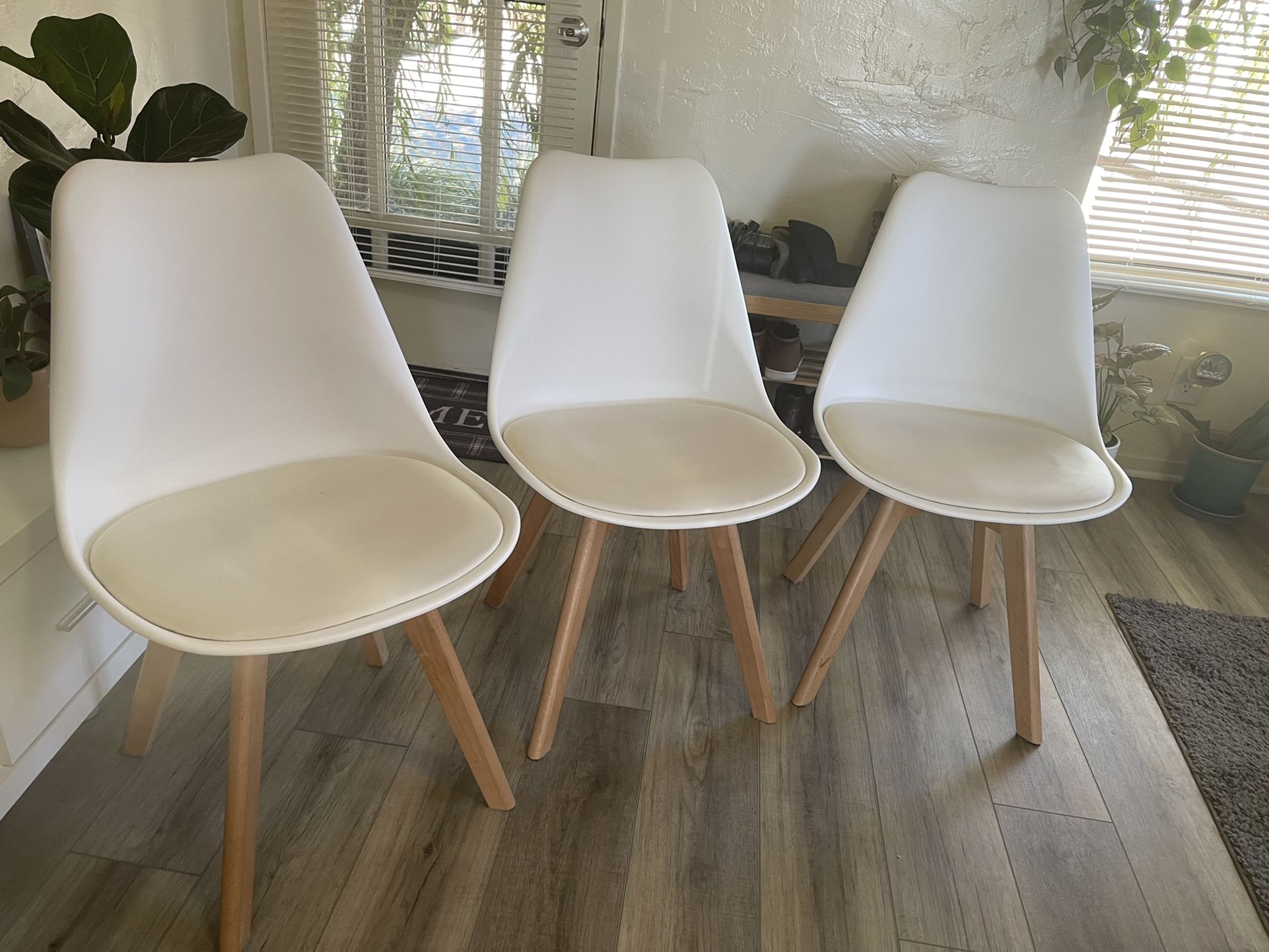 Dinning Table Chairs