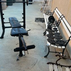 Weight Bench Bar N Weights