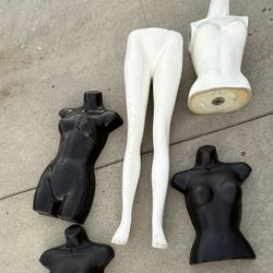 Mannequin Bundle Use $15 All