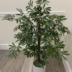 Artificial Olive Plant With White Pot Realistic Fruits And Bunches  