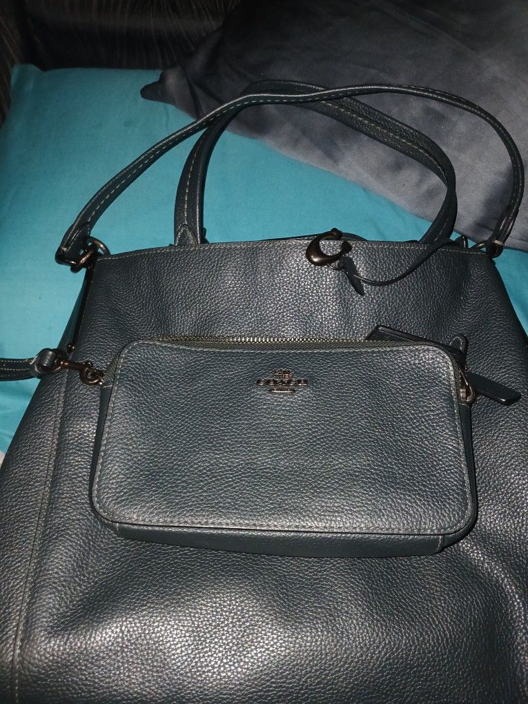 Coach Handbag And Whristlit