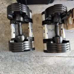 Adjustable Weights