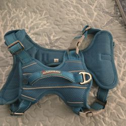 Barkbay Small Dog Harness 