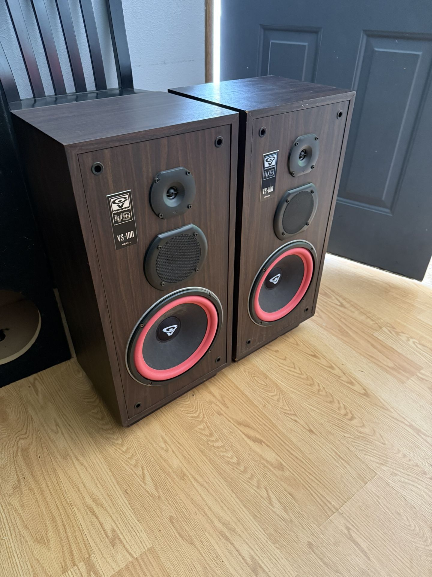 10” House Speakers 