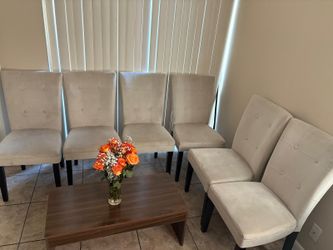 6 Chairs and Coffee Table