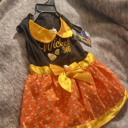Pet Dresss