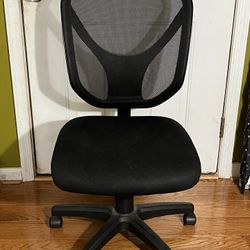Ergonomic Chair with Adjustments