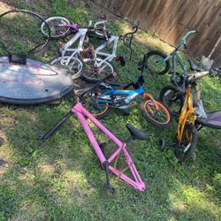 Bikes And Basketball Hoop