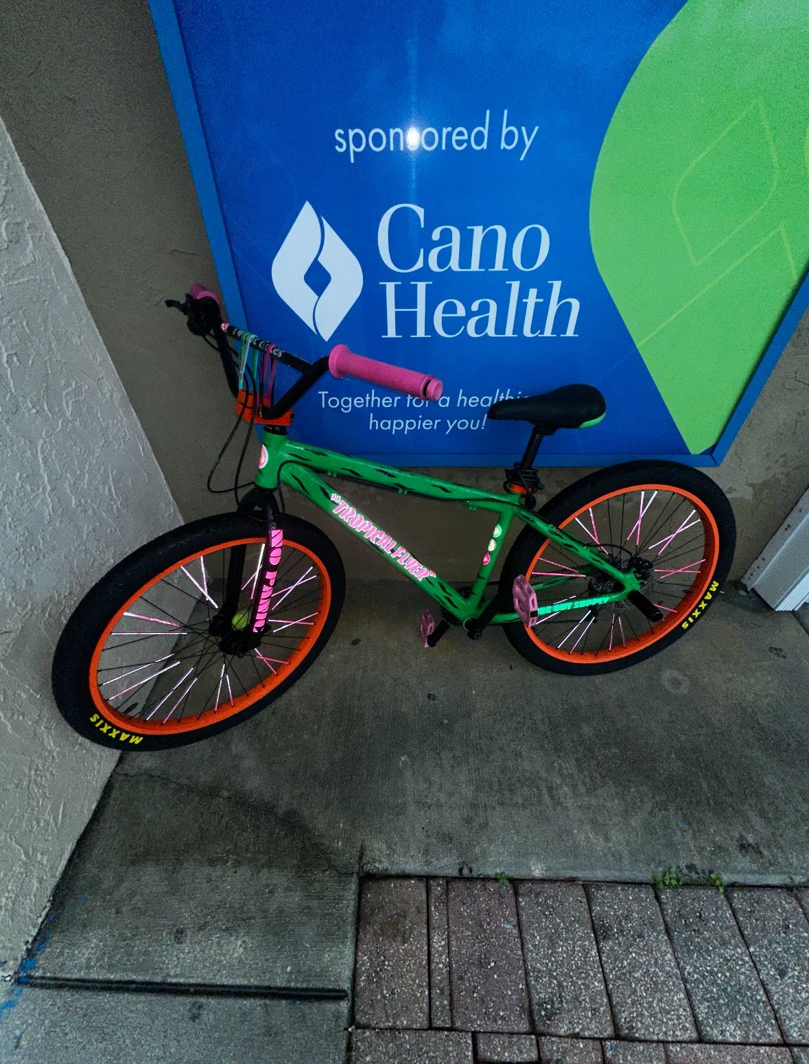 Savage Flyer Se Bike