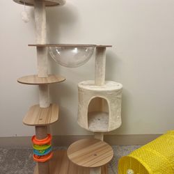 Cat Tree