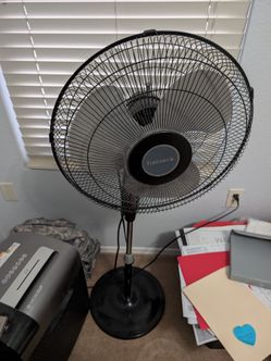 Holmes Black Pedestal Standing Fan