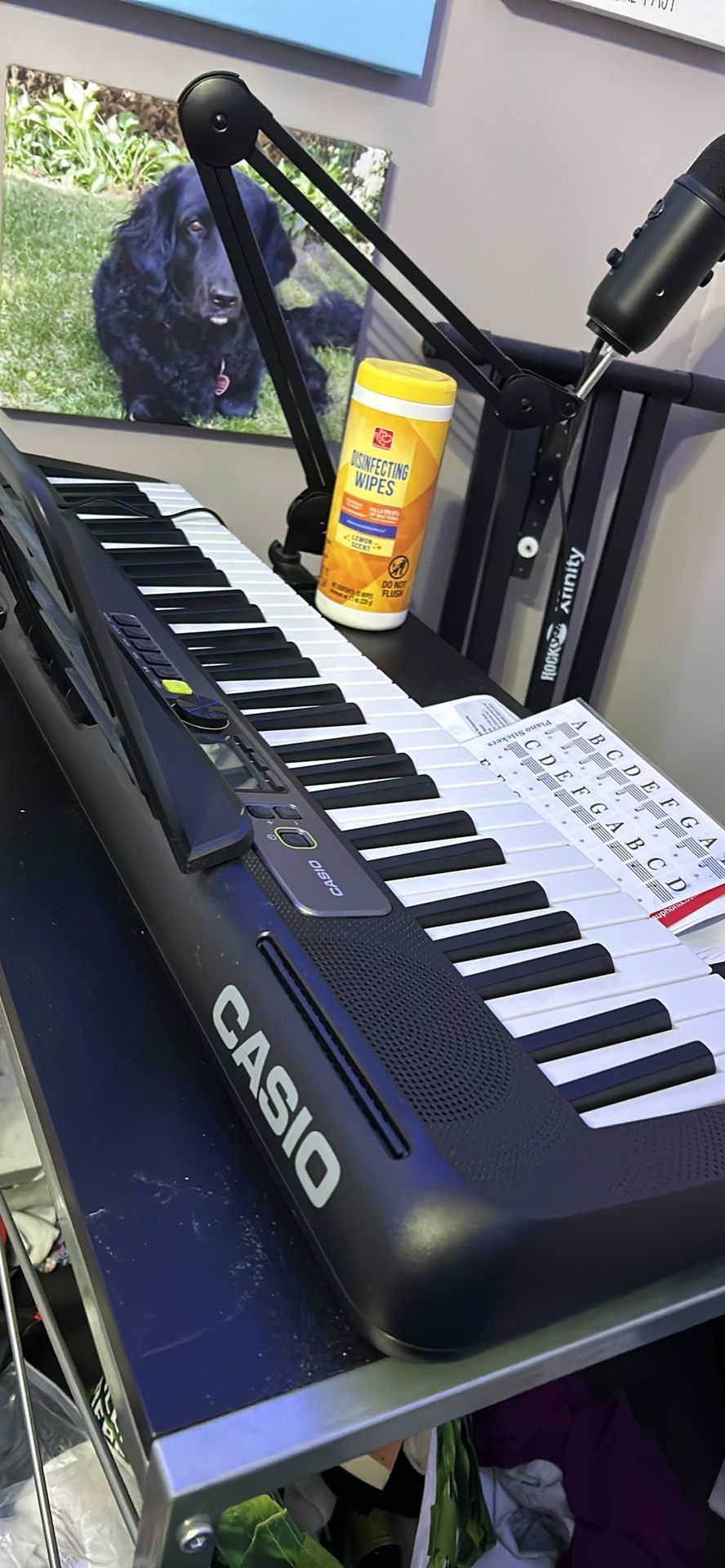 Casiotone Piano Keyboard with Stand & bench (SERIOUS BUYER ONLY) 
