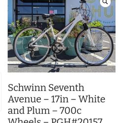 schwinn 7th avenue
