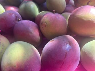 Mangos