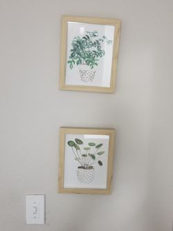 Multiple Home Decor/plant Frames
