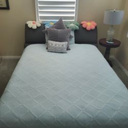 Queen Size Bed / Frame $550.00