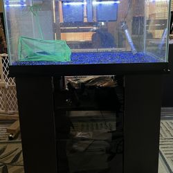 Aquarium 30 Gal With Nice Stand