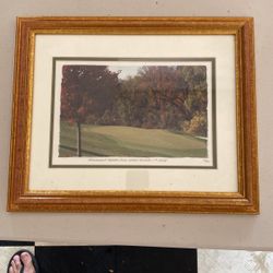 TPC Framed Art