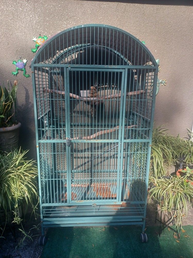 Large Cage