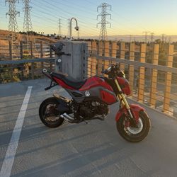 Honda Grom 
