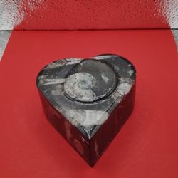 Heart Ammonit Orthoceras Container With A Lid 