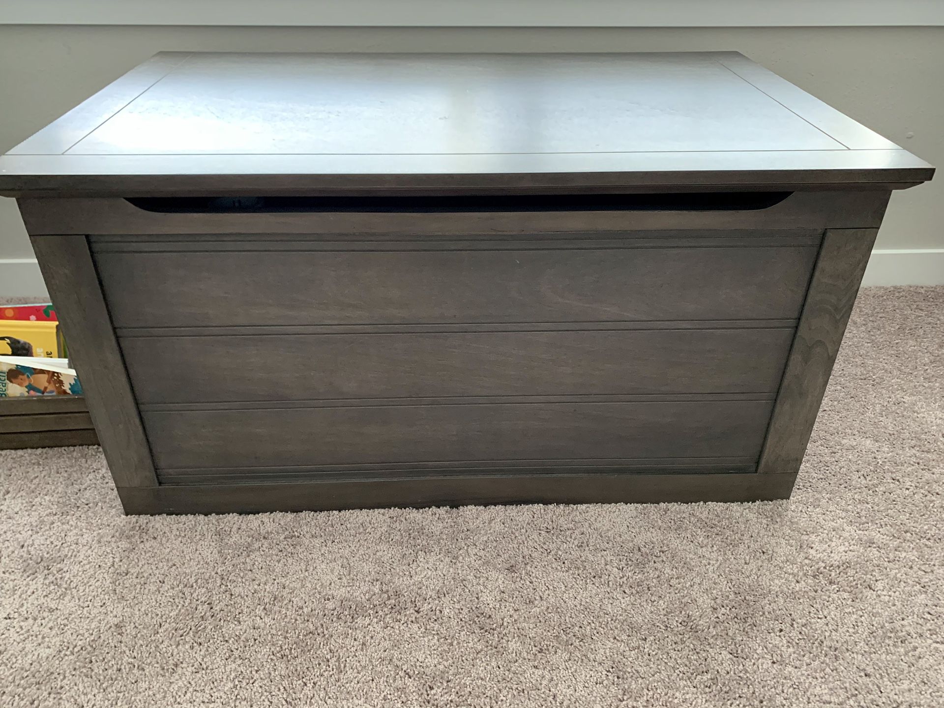 NEW! Toy chest