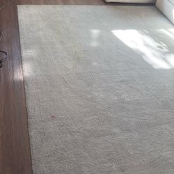 Living room, gorgeous, gray charcoal colored rug used fair