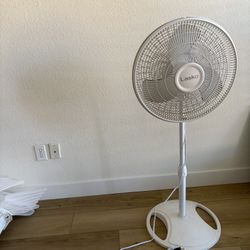 Fan
