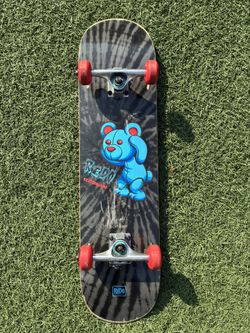 Redo Skateboards Co. Popsicle Bear                       31 x 7.5 Used