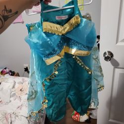 Jasmine Costume