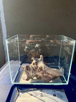 Rimless Aquarium Tank
