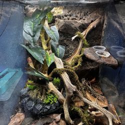 Reptile terrarium 