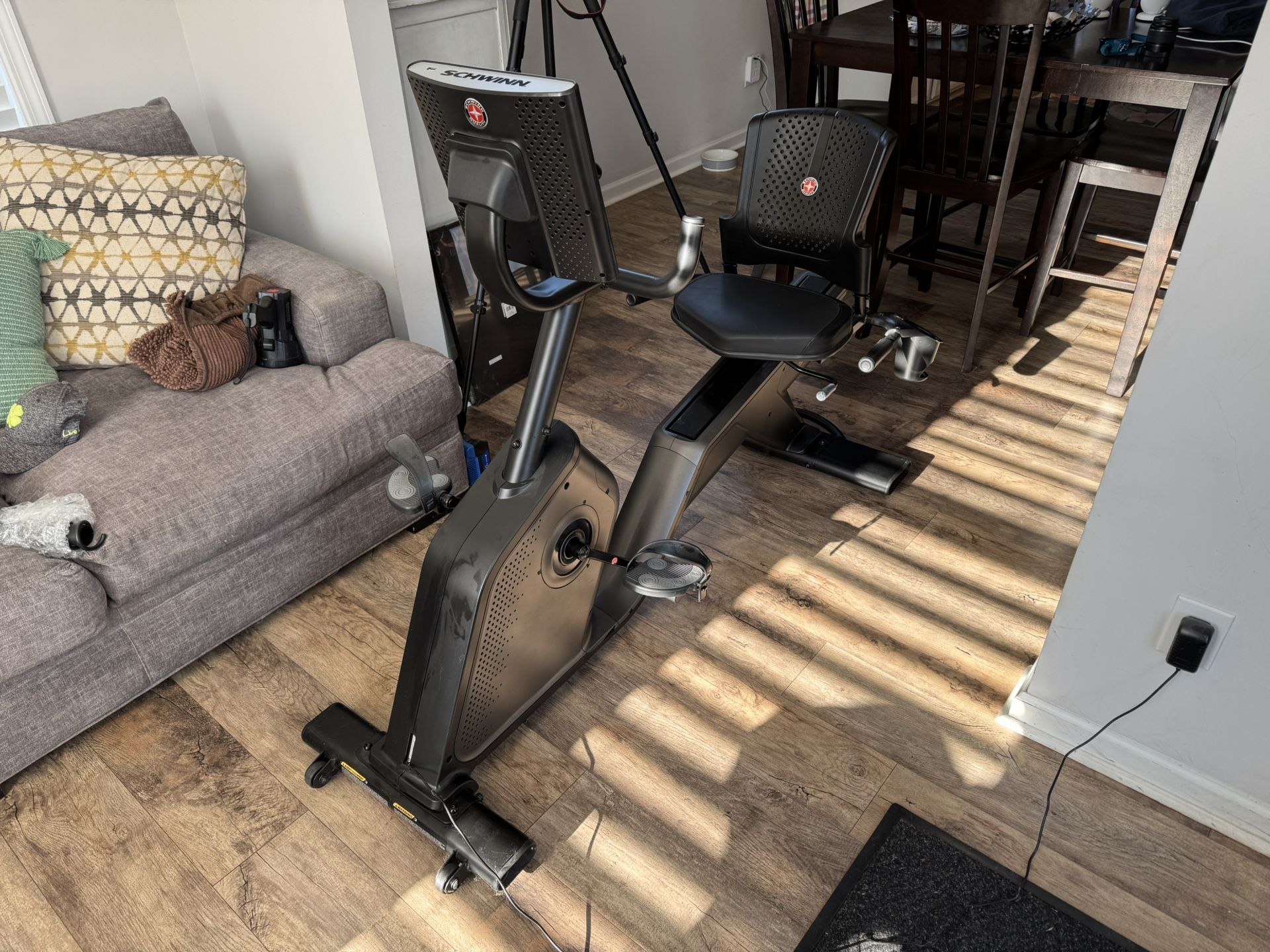 Schwinn 290 Recumbent Exercise Bike